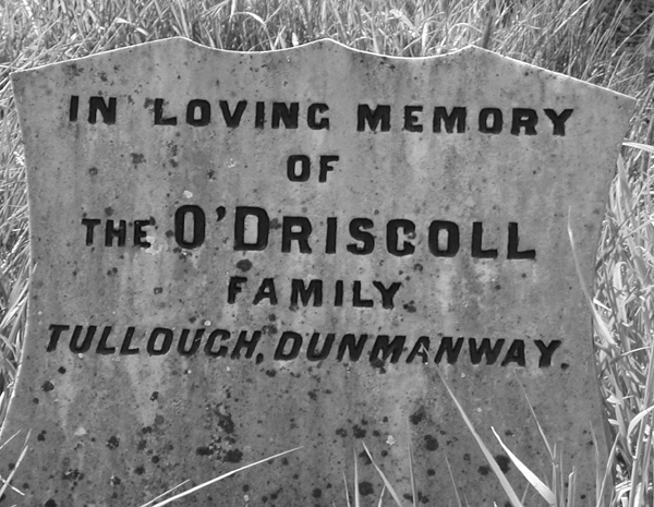 O'Driscoll family, Tullough, Dunmanway.jpg 189.8K